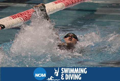 SCAC Swimmers and Divers Continue to Claim All-America Honors at NCAA Championships