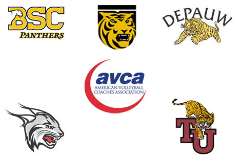 Five SCAC teams earn AVCA honors