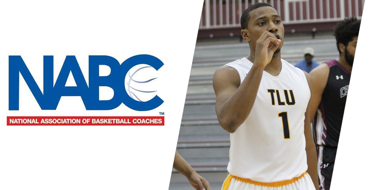 Texas Lutheran's Holmes Earns NABC All-America Honors