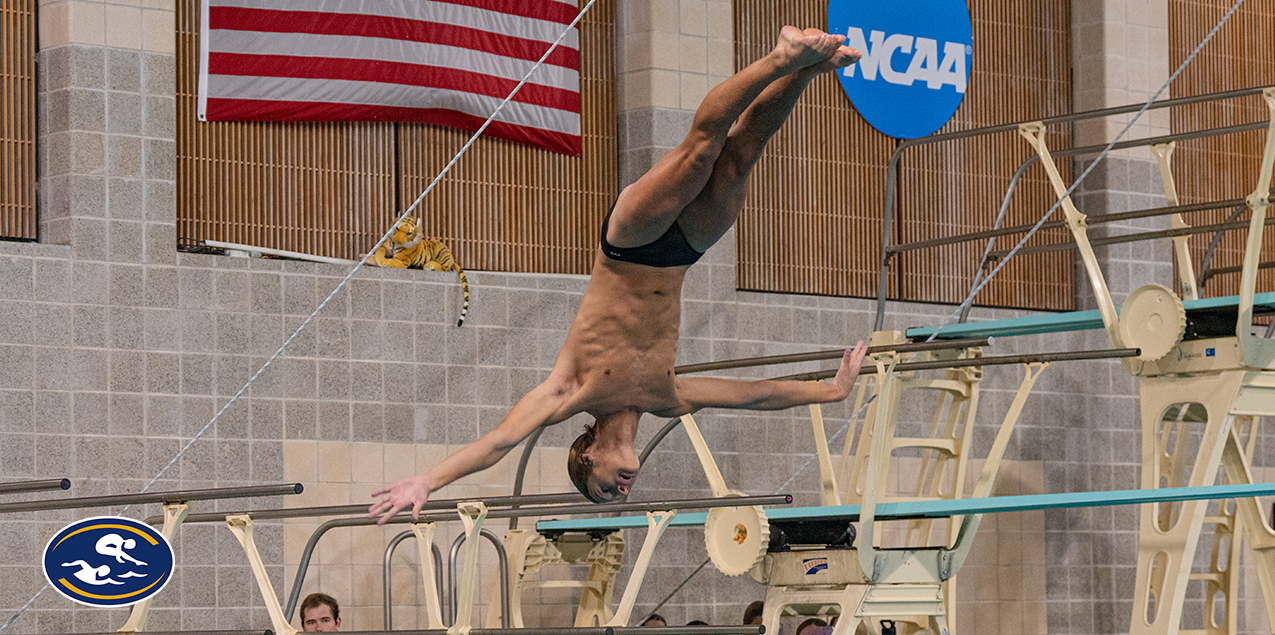 Max Rolla-Mullis, Trinity University, Diver of the Week (Week 4)