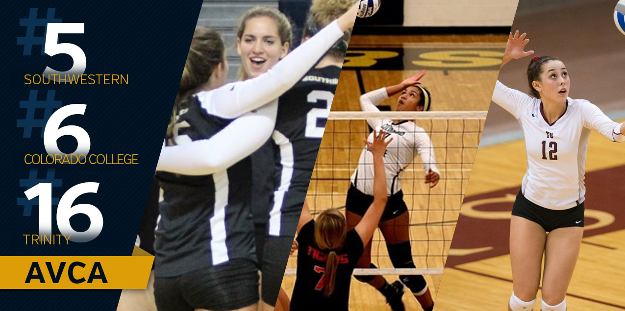 Trinity No. 16, Southwestern No. 5 and Colorado College No. 6 in AVCA Poll