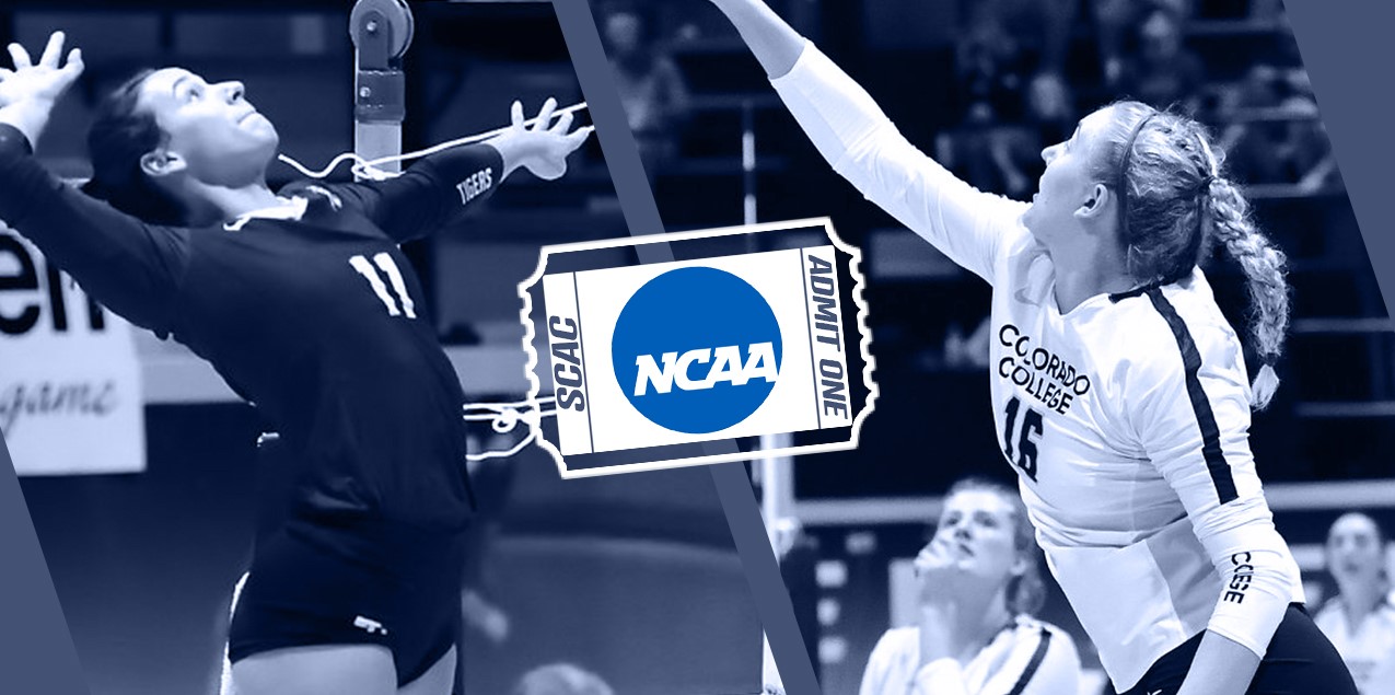 Trinity and Colorado College Receive Bids to 2019 NCAA D3 Volleyball Championship