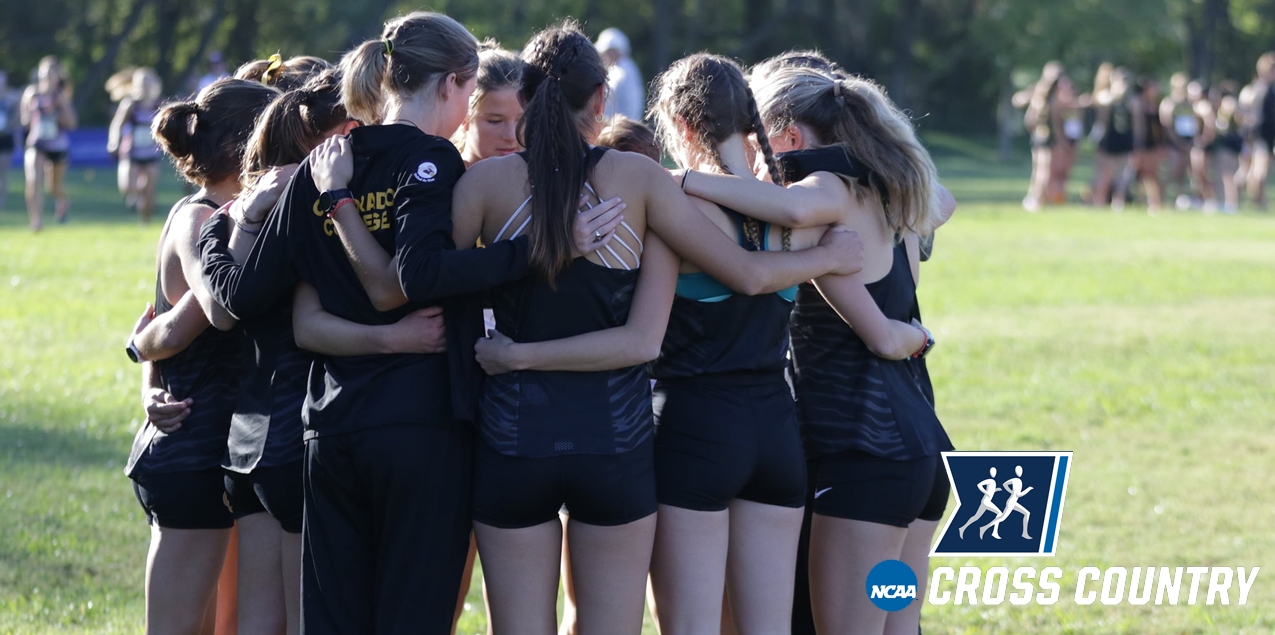 Colorado College, Trinity's Blackwood Added to Women's Cross Country Championship Field