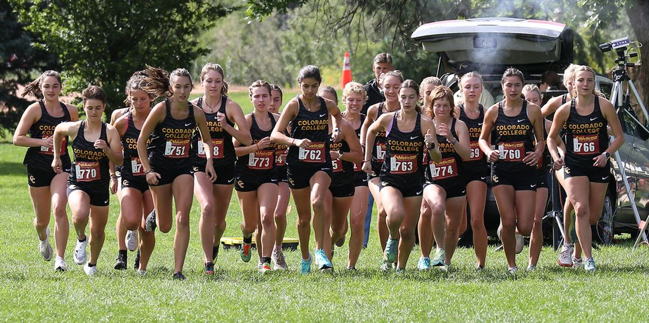 CC Tigers Receive At-Large Bid to Division III National Championship Meet